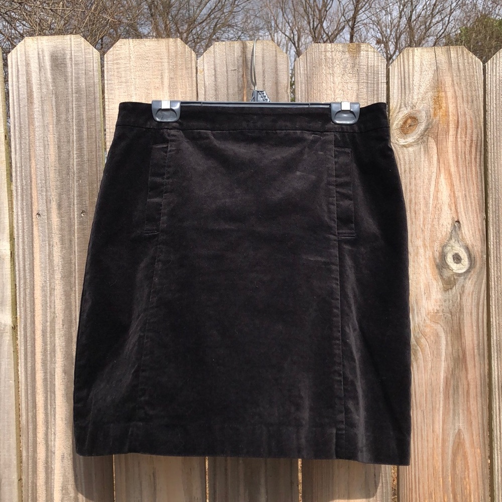 Ann Taylor Skirt